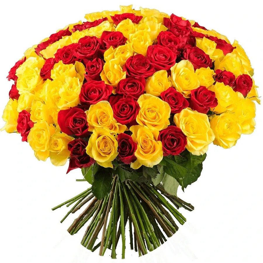 Розы Эквадор микс Красно-Желтые